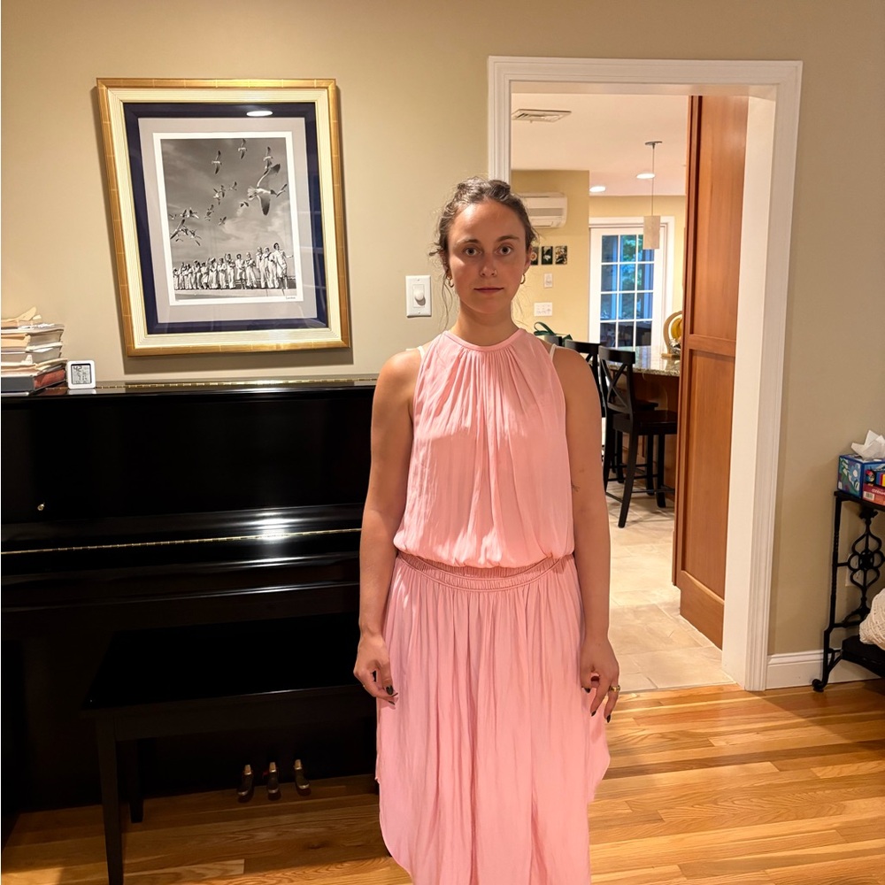 Ramy Brook Pink Maxi Dress